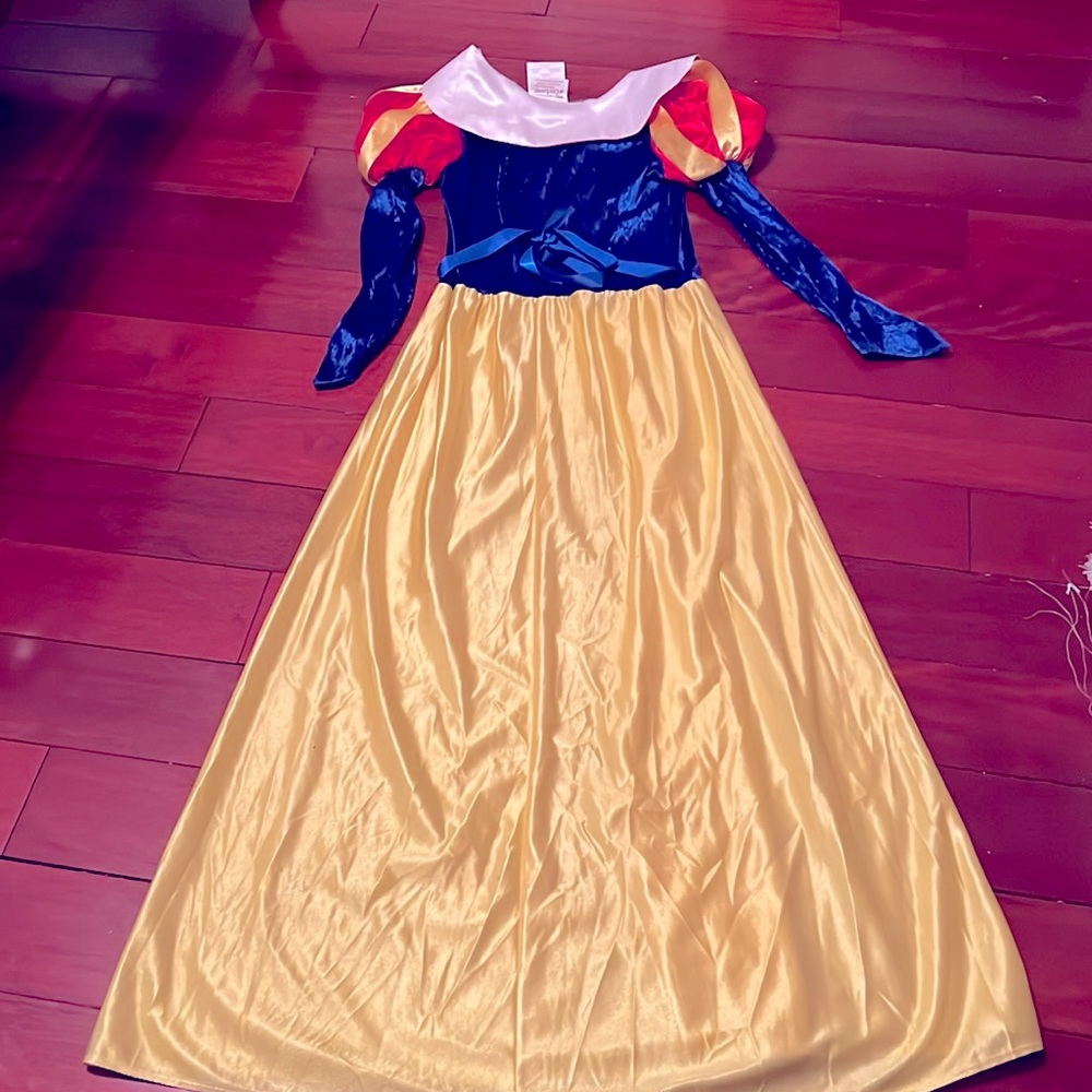 Snow White Halloween Costume - exact replica! Adult Medium. Great condition! - Picture 2 of 5